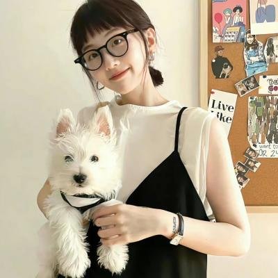 哈莉·奎茵第二季