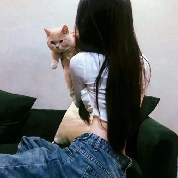 一梦如故